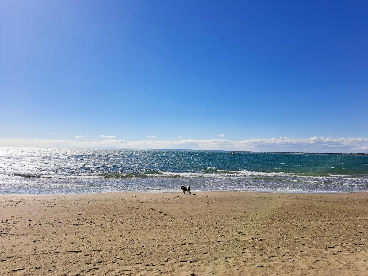 32M² Terrasse Plage Cap D'Agde Appartement Buitenkant foto